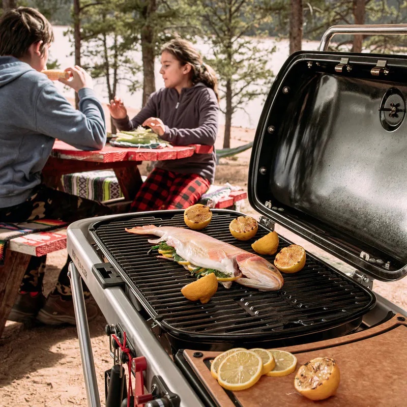 Portable Gas Grills